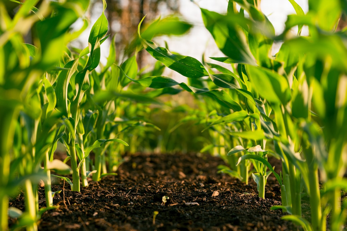 Modern agricultural technology and trust infrastructure